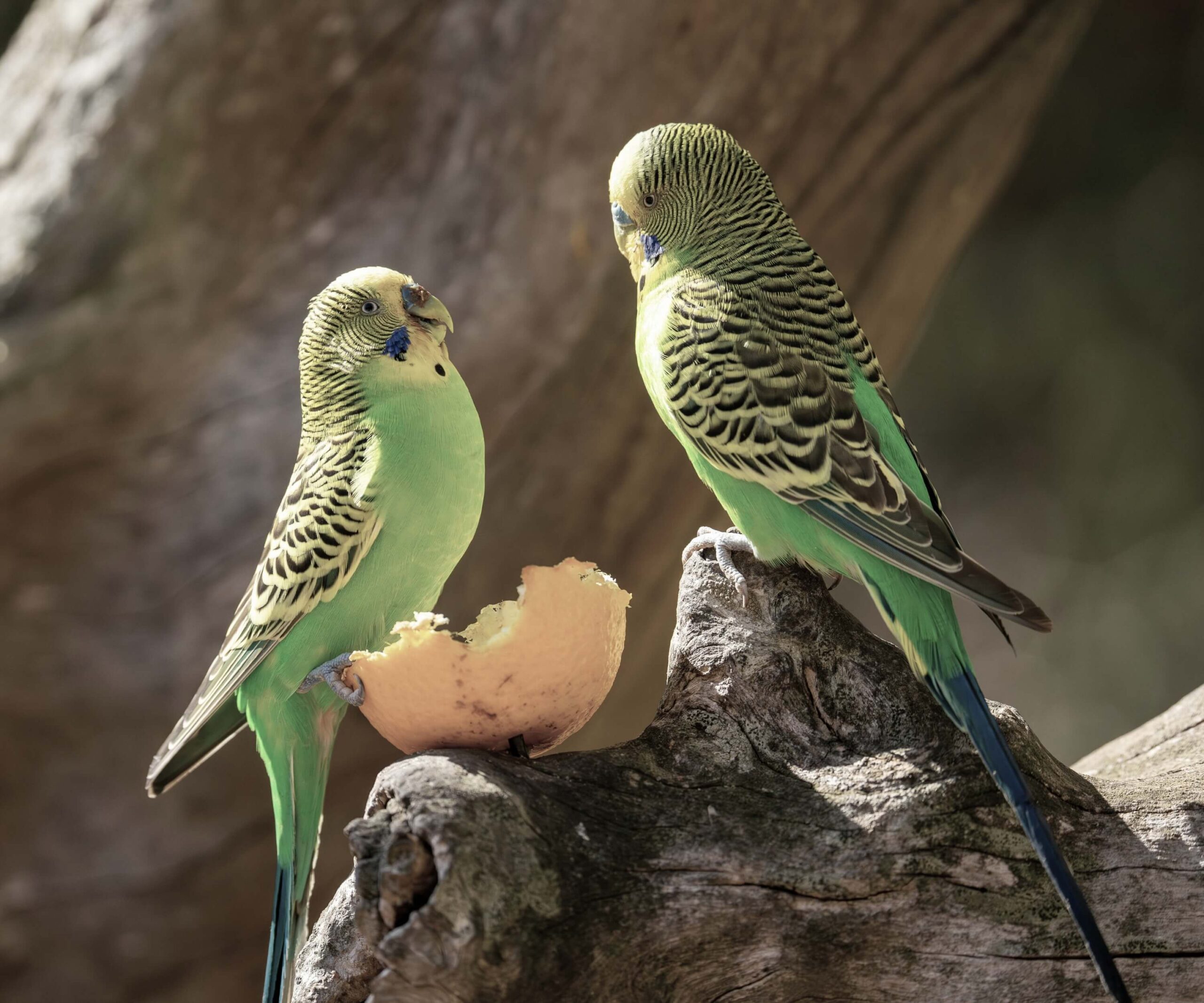 Nauka o miłości zasada 5:1 Johna Gottmana, która ratuje małżeństwa